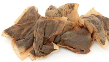 3-cara-basmi-tikus-dirumah-3