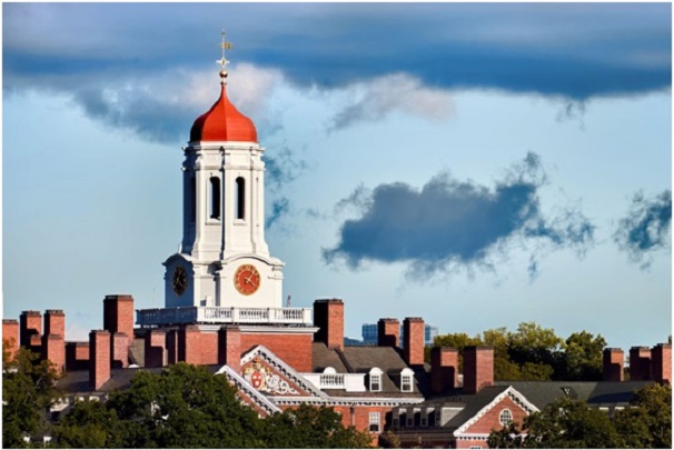 Future Office Buldings Intelligent by Design