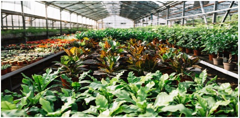 Future Office Buldings Intelligent by Design