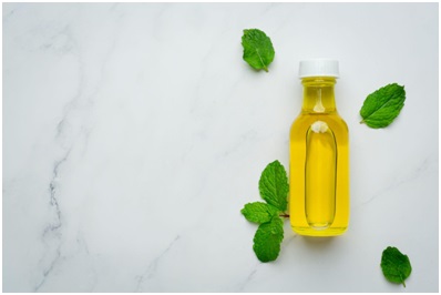 Basmi Kecoa Menggunakan Bahan Alami