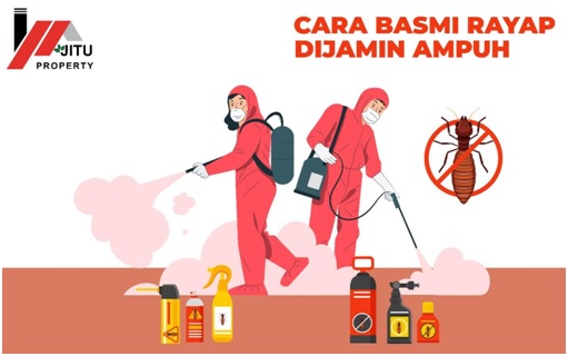 Cara Basmi Rayap, Dijamin Ampuh