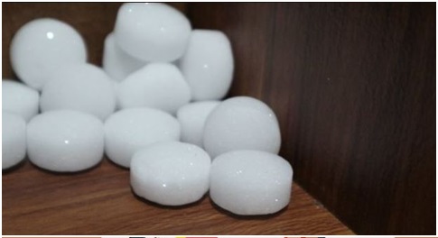 Cara-Basmi-Rayap-Dijamin-Ampuh-1