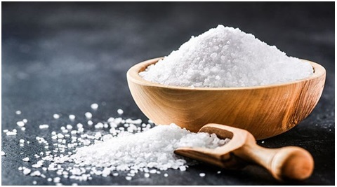 Cara-Basmi-Rayap-Dijamin-Ampuh-2