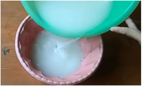 Cara-Basmi-Rayap-Dijamin-Ampuh-4