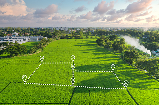 Cara Menghitung Luas Sawah per Meter Persegi