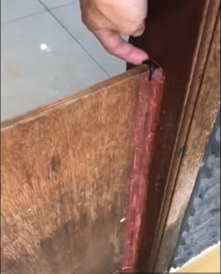 Tips rumah tahan banjir papan kayu anti banjir